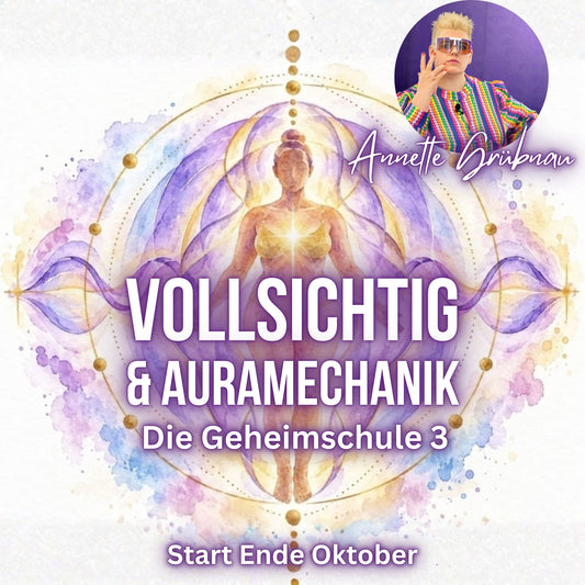 VOLLSICHTIG - Die Geheimschule 3
